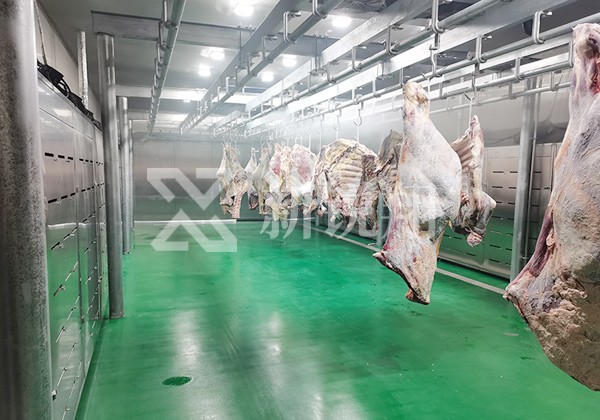 二分體豬肉解凍現場